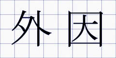 外因