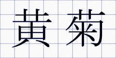 黄菊
