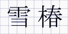 雪椿