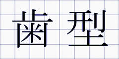 歯型