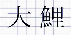大鯉