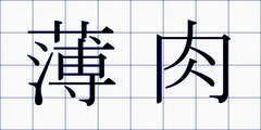 薄肉