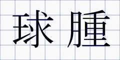 球腫