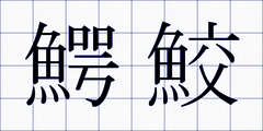 鰐鮫