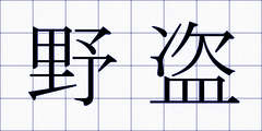 野盗