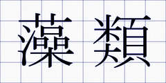 藻類