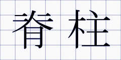 脊柱
