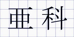 亜科