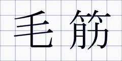 毛筋