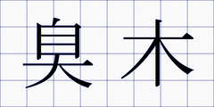 臭木