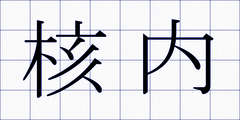 核内