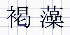 褐藻