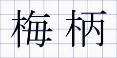 梅柄