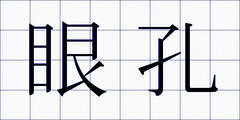 眼孔