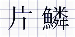 片鱗