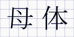 母体