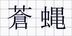 蒼蝿