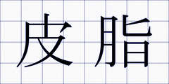 皮脂