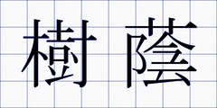 樹蔭