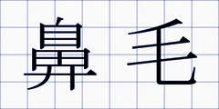 鼻毛