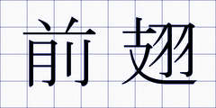 前翅
