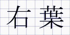 右葉