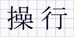 操行