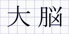 大脳