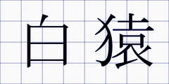 白猿