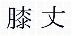 膝丈