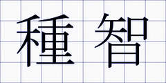 種智