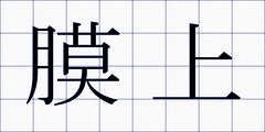 膜上
