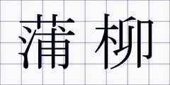蒲柳