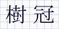 樹冠