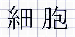 細胞