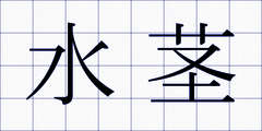 水茎