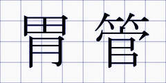 胃管