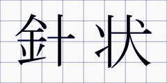 針状