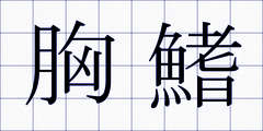 胸鰭