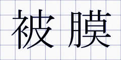 被膜