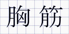 胸筋