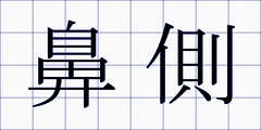 鼻側