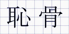 恥骨
