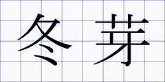 冬芽