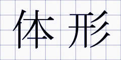 体形