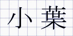 小葉