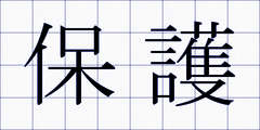 保護