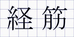 経筋