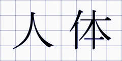 人体