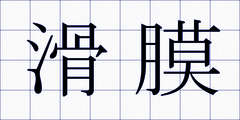 滑膜